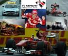 Ο Fernando Alonso πανηγυρίζει τη νίκη του στο Grand Prix της Κορέας (2010)